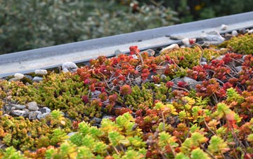 the cost of Cott green roof installation