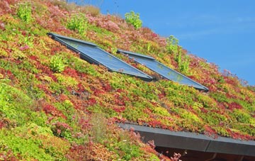 Cott living roof systems