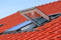 Cott roof window